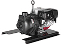 333 Series Pumps